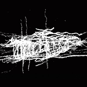 Collaborative sketches fuel the client-architect dialogue