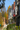 Streetscape